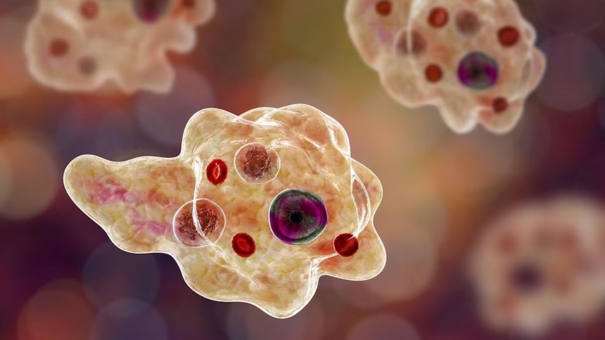 Kerala Boy Dies Of Naegleria Fowleri, Third Death In Two Months: Symptoms, Prevention Of Brain Eating Amoeba
